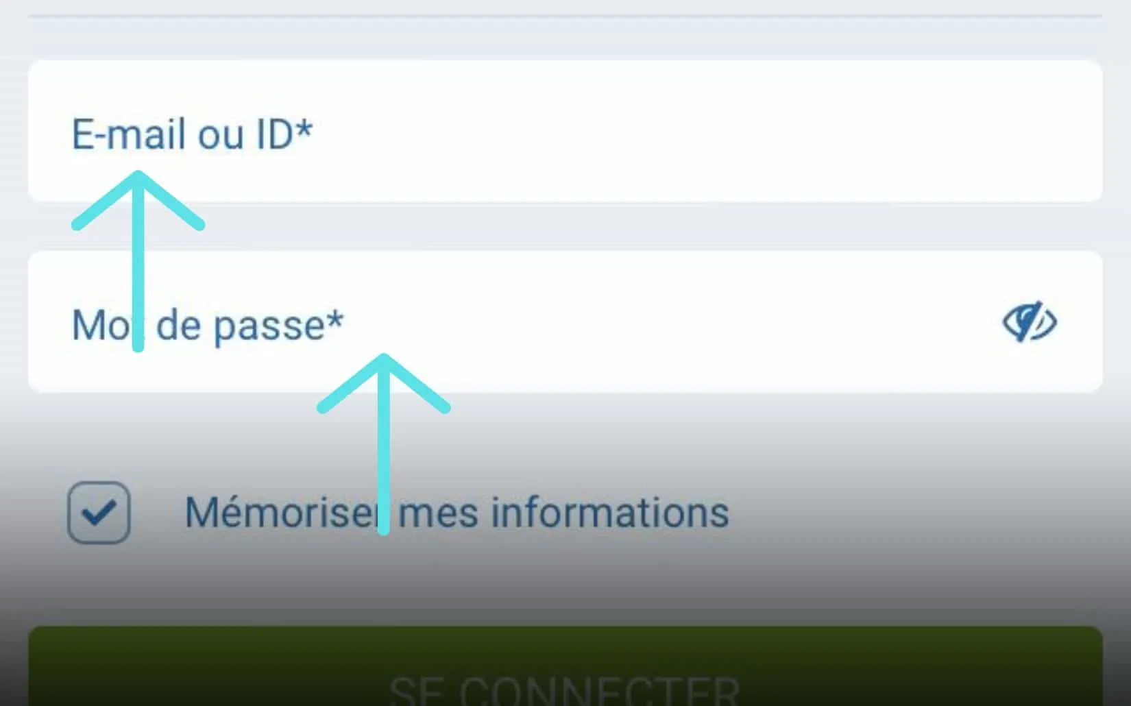 1xbet Sénégal e-mail passe